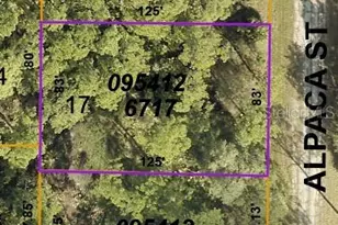 Lot 17 Alpaca St, North Port, FL 34291 - Photo 1