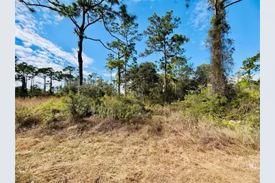 2007 Truman Avenue, Alva, FL 33920 - Photo 2