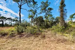 2007 Truman Ave, Alva, FL 33920 - Photo 2