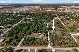 27130 Savoy Dr, Punta Gorda, FL 33955 - Photo 20