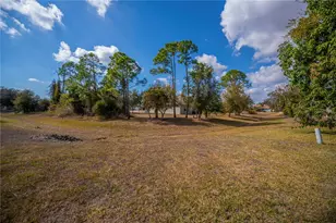 293 Maraca St, Punta Gorda, FL 33983 - Photo 56