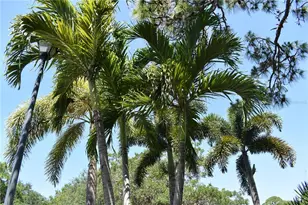 5022 Bayberry St, North Port, FL 34286 - Photo 54