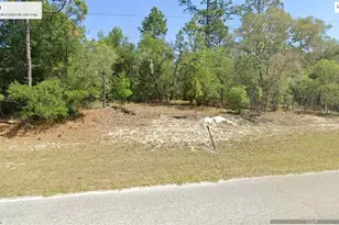 SW 102 St, Dunnellon, FL 34431 - Photo 1