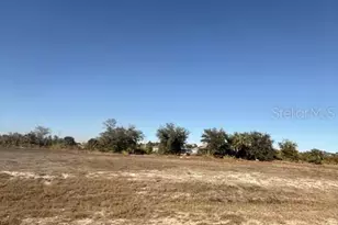 1007 NE 23rd St, Cape Coral, FL 33909 - Photo 1