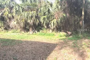 232 Bamboo Dr, Port Charlotte, FL 33954 - Photo 4