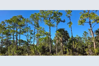 12054 Keller Avenue, Port Charlotte, FL 33981 - Photo 6