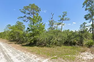 3262 Plover Ave, Lake Placid, FL 33852 - Photo 2