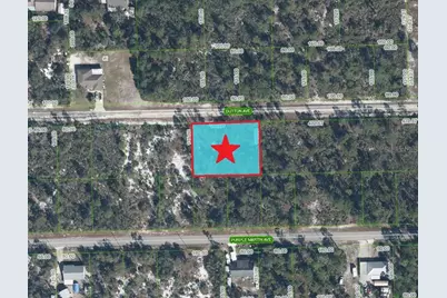 3262 Plover Avenue, Lake Placid, FL 33852 - Photo 1