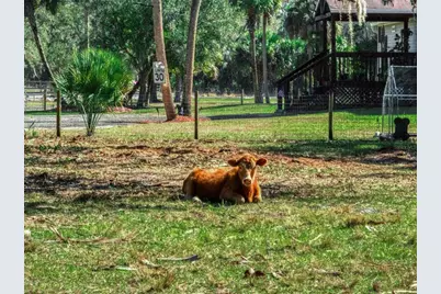 15405 Old Parker Island Road, Lake Placid, FL 33852 - Photo 24