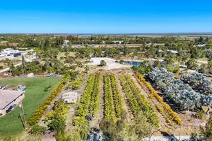 4442 Courtney Rd, Saint James City, FL 33956 - Photo 4