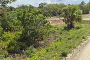 425 Fawnwood Ave, Lake Placid, FL 33852 - Photo 1