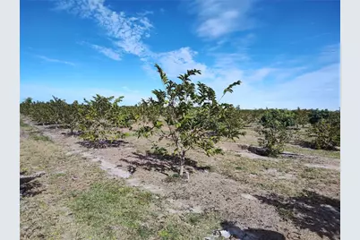 [Address not provided], Arcadia, FL 34266 - Photo 10