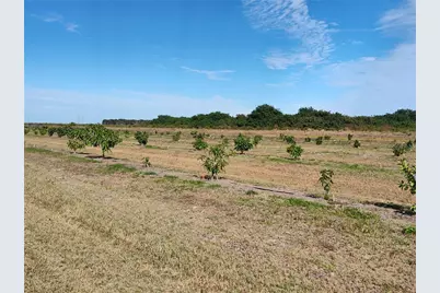 [Address not provided], Arcadia, FL 34266 - Photo 20