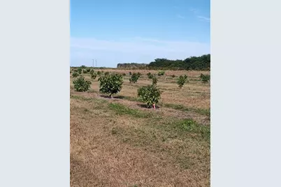 [Address not provided], Arcadia, FL 34266 - Photo 24