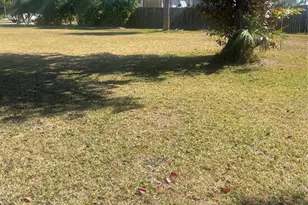 229 Darst Ave, Punta Gorda, FL 33950 - Photo 34