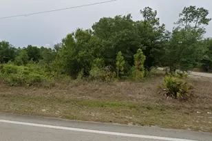 1007 East 10th Street, Lehigh Acres, FL 33972 - Photo 1