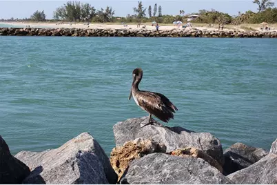 20108 Pezzana Drive, Venice, FL 34292 - Photo 46