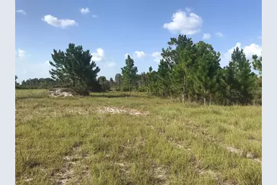 48033 Bermont Road, Punta Gorda, FL 33982 - Photo 4