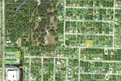 20206 Astoria Avenue, Port Charlotte, FL 33952 - Photo 68