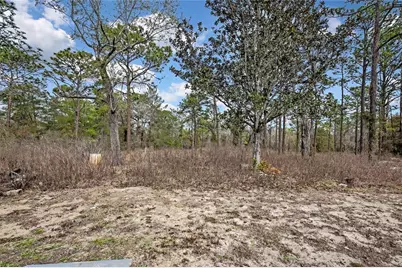 12672 S Oakview Avenue, Floral City, FL 34436 - Photo 46