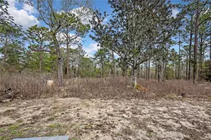 12672 S Oakview Ave, Floral City, FL 34436 - Photo 46