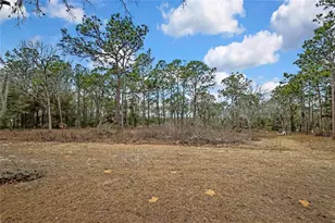 12672 S Oakview Ave, Floral City, FL 34436 - Photo 40