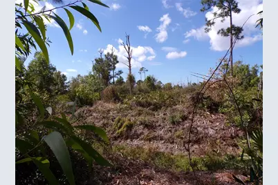 12253 Green Gulf Boulevard, Punta Gorda, FL 33955 - Photo 16