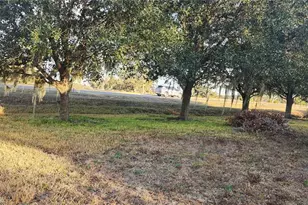 107 College Ln, Zolfo Springs, FL 33890 - Photo 10