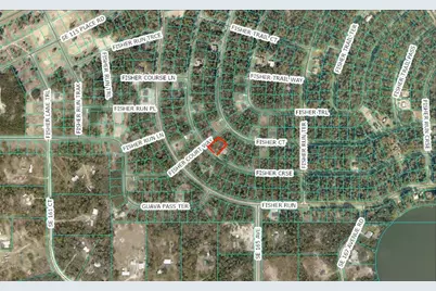 Fisher Course, Ocklawaha, FL 32183 - Photo 1