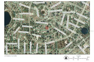 Malauka Run Dr, Ocklawaha, FL 32183 - Photo 1