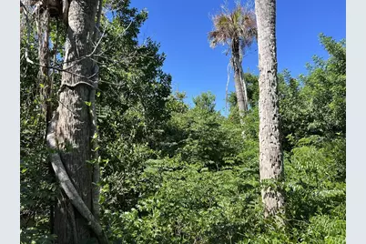 10049 Hel-Lew Court, Placida, FL 33946 - Photo 6