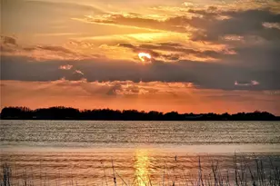 715 N Helen St, Mount Dora, FL 32757 - Photo 30