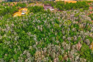 6963 Sugarbush Ln, Polk City, FL 33868 - Photo 4