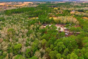 6963 Sugarbush Ln, Polk City, FL 33868 - Photo 8