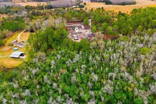 6963 Sugarbush Ln, Polk City, FL 33868 - Photo 14