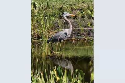 25601 Heritage Lake Boulevard #46, Punta Gorda, FL 33983 - Photo 68