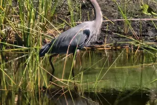 25601 Heritage Lake Blvd, Punta Gorda, FL 33983 - Photo 68