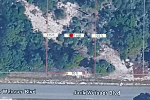 390 Jack Weisser Blvd, Lake Placid, FL 33852 - Photo 2