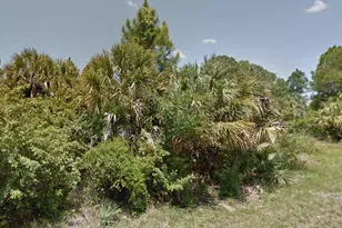 0 Raven St, North Port, FL 34286 - Photo 1