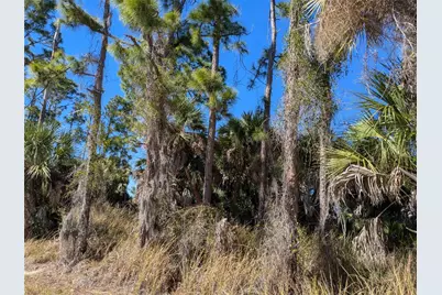 Casco Circle, North Port, FL 34288 - Photo 4