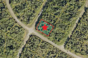 Lot 1 Havemeyer St, North Port, FL 34288 - Photo 1