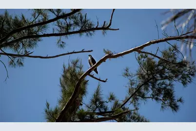 8864 Bay Street, Placida, FL 33946 - Photo 24