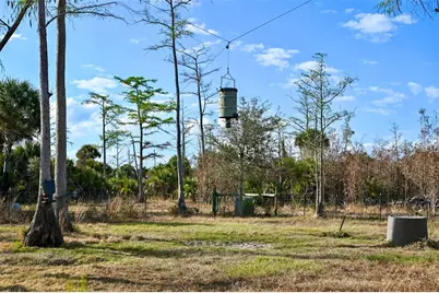 Black Burn Road, Naples, FL 34117 - Photo 8