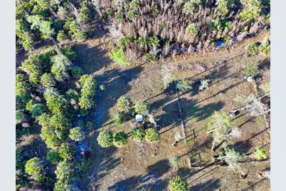 Black Burn Road, Naples, FL 34117 - Photo 6