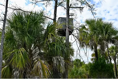 Black Burn Road, Naples, FL 34117 - Photo 34