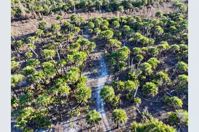 Black Burn Road, Naples, FL 34117 - Photo 2