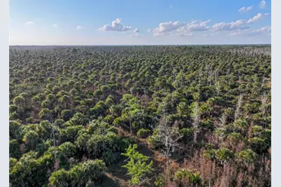 Black Burn Road, Naples, FL 34117 - Photo 30