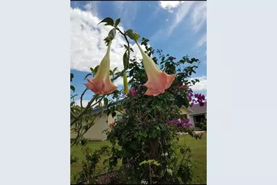 1658 Scarlett Avenue, North Port, FL 34289 - Photo 46