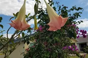 1658 Scarlett Ave, North Port, FL 34289 - Photo 46