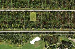 13545 Suribachi Ave, Port Charlotte, FL 33953 - Photo 1